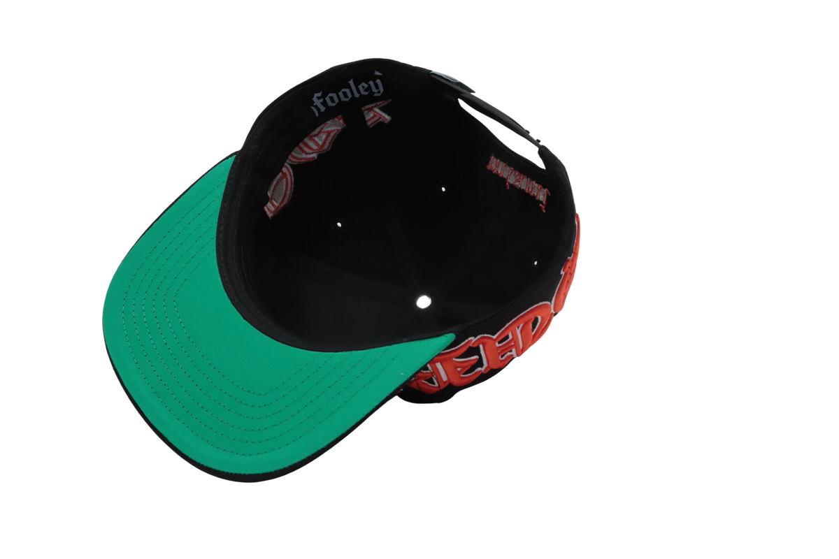 Fooley Black Snapback